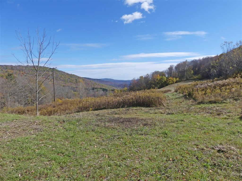 606 Bussey Hollow Road Andes, NY 13731 - Photo 15 of 18