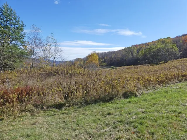 $659,000 | 606 Bussey Hollow Road, Andes, NY 13731