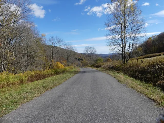 $659,000 | 606 Bussey Hollow Road, Andes, NY 13731