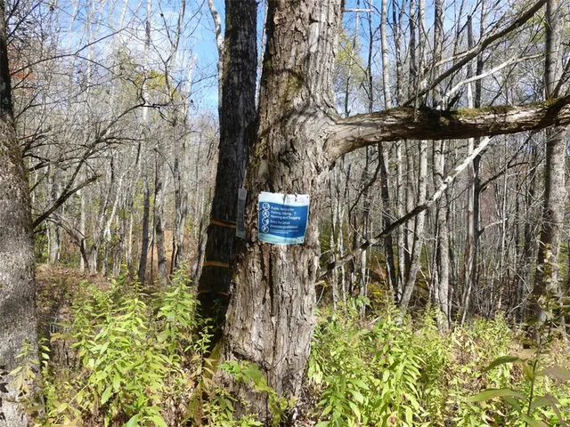 $659,000 | 606 Bussey Hollow Road, Andes, NY 13731