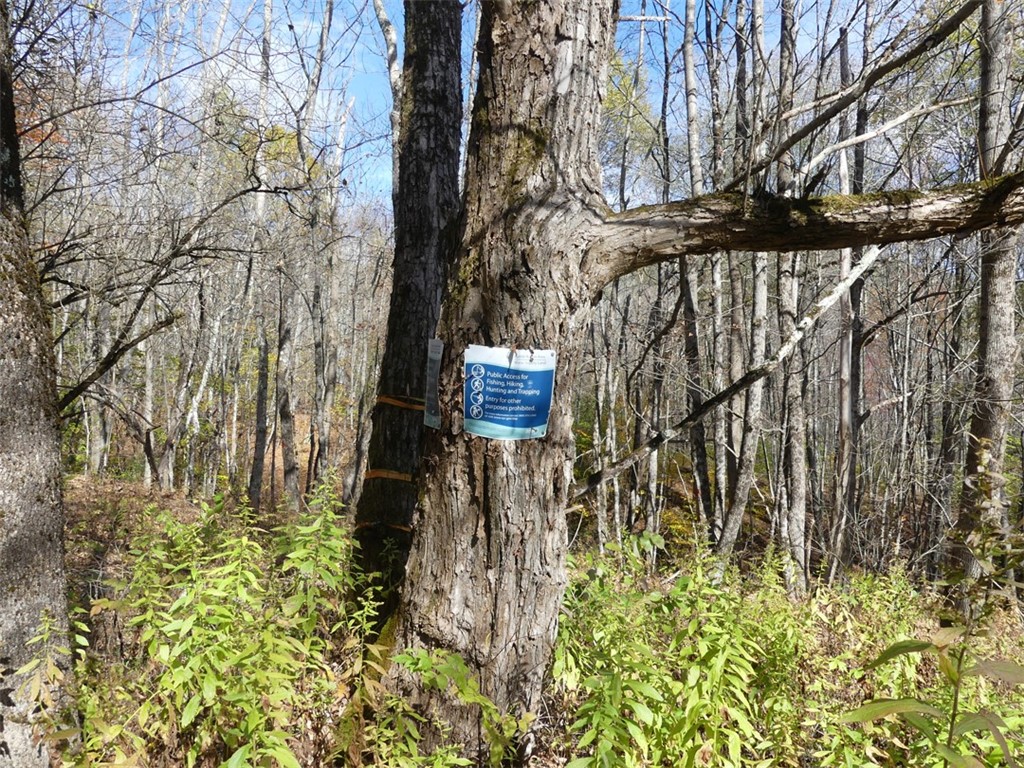 606 Bussey Hollow Road Andes, NY 13731 - Photo 18 of 18