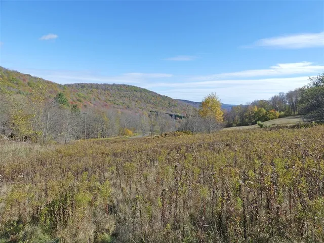 $659,000 | 606 Bussey Hollow Road, Andes, NY 13731