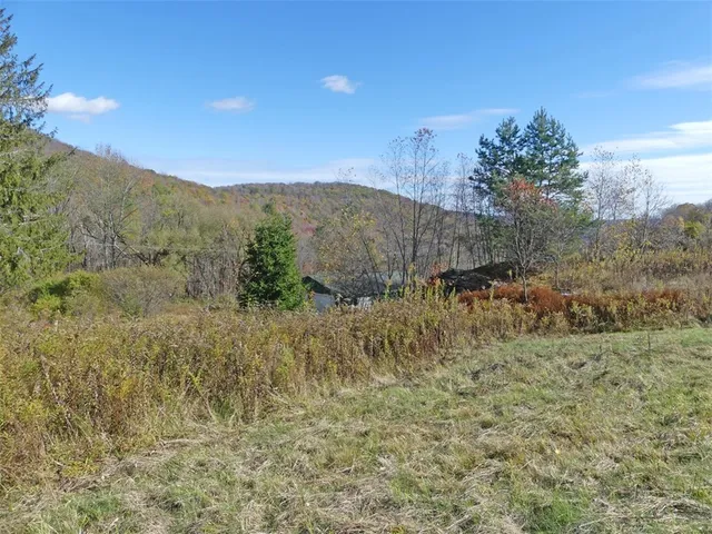 $659,000 | 606 Bussey Hollow Road, Andes, NY 13731