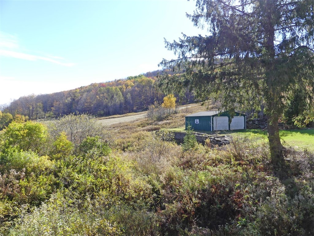 606 Bussey Hollow Road Andes, NY 13731 - Photo 10 of 18