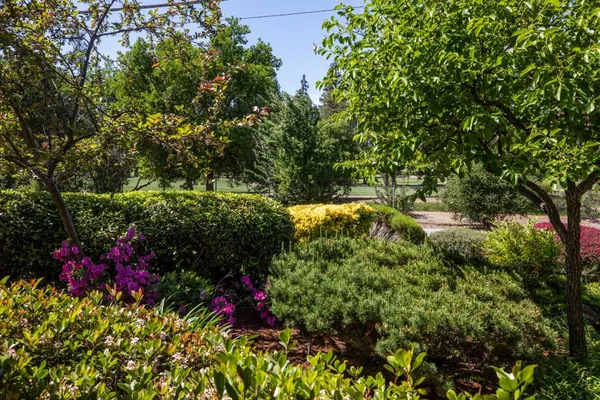 $4,488,000 | 800 Loyola Drive, Los Altos, CA 94024