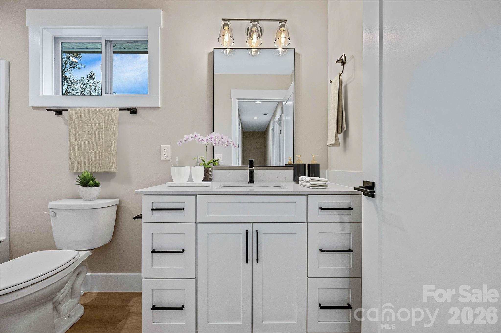 424 Hazel Mill Road Asheville, NC 28806 - Photo 44 of 47 a bathroom with a toilet a sink and mirror