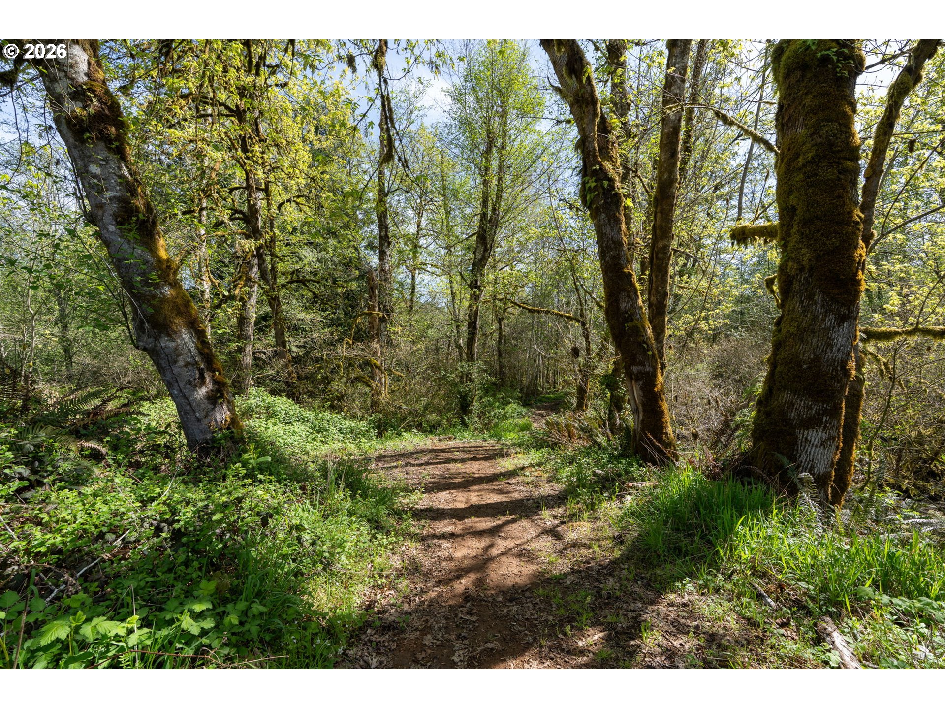 21542 Highway 126 Noti, OR 97461 - Photo 6 of 22 a view of outdoor space and garden