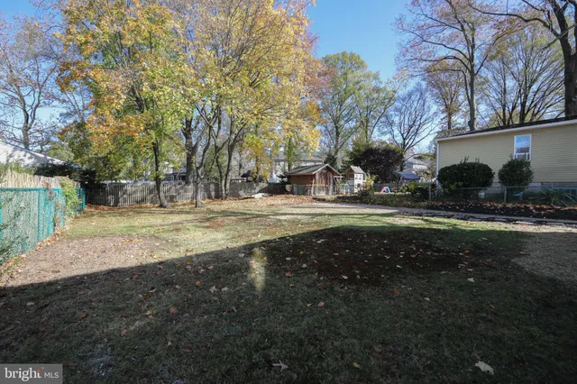 a view of road with large trees