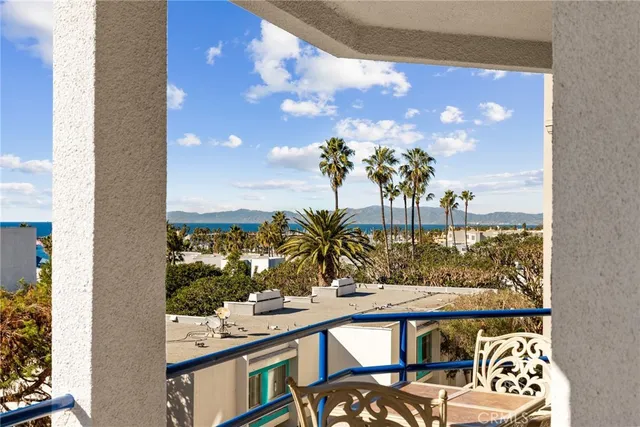a view of a yard with plants and trees