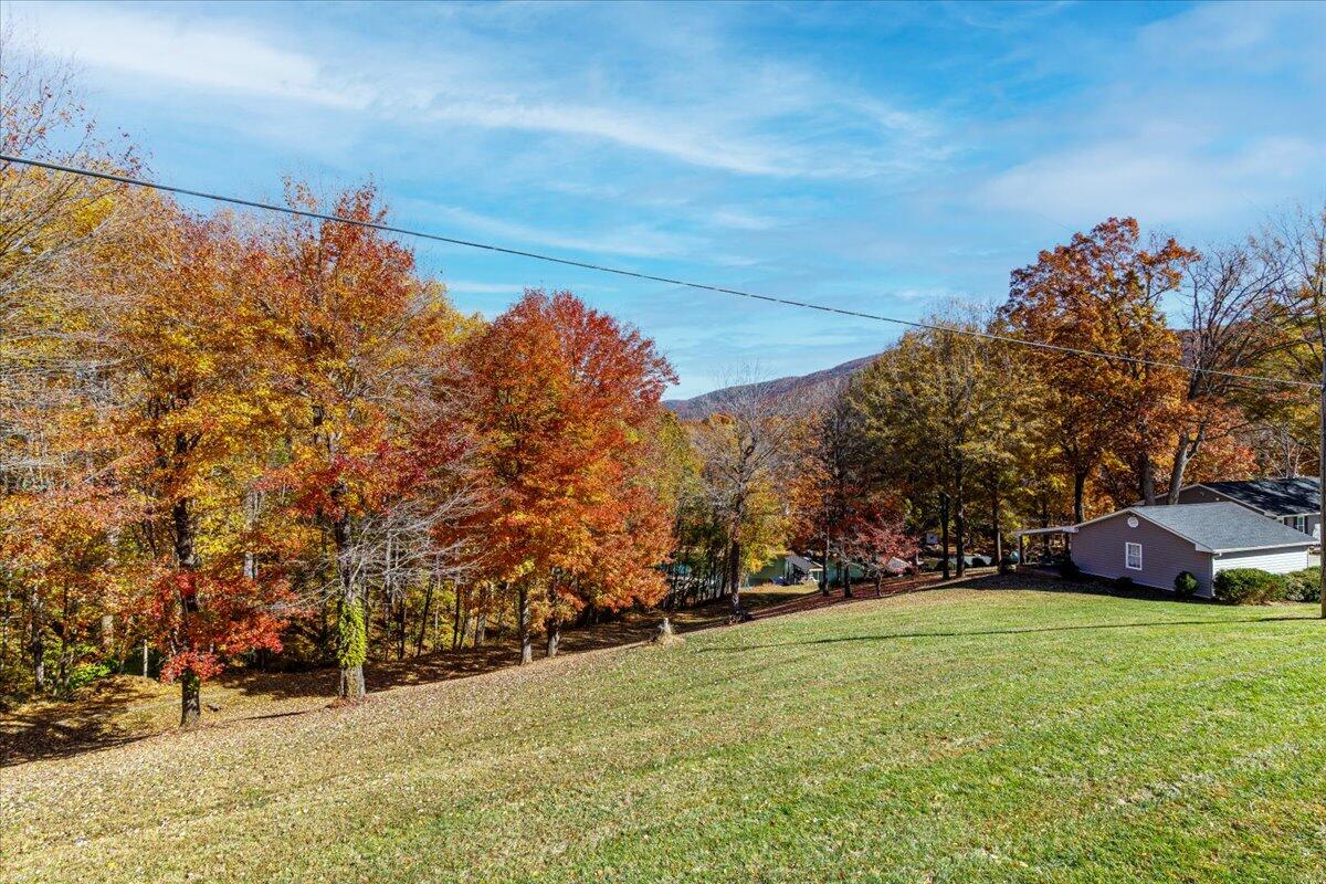 448 Lakeside Road Penhook, VA 24137 - Photo 16 of 51 a view of a yard with large trees