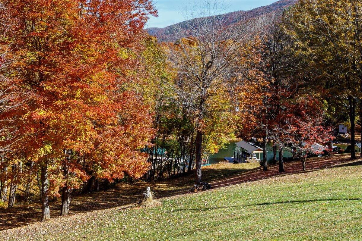 448 Lakeside Road Penhook, VA 24137 - Photo 17 of 51 a view of park with trees