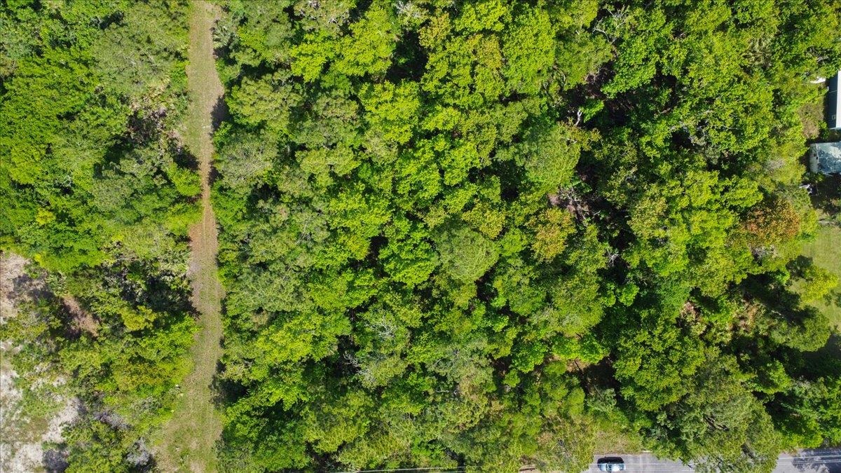 0 Collier Street St. Augustine, FL 32084 - Photo 6 of 8