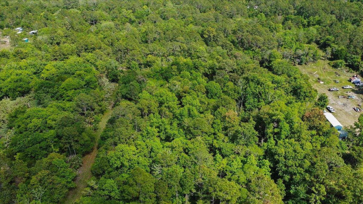 0 Collier Street St. Augustine, FL 32084 - Photo 8 of 8