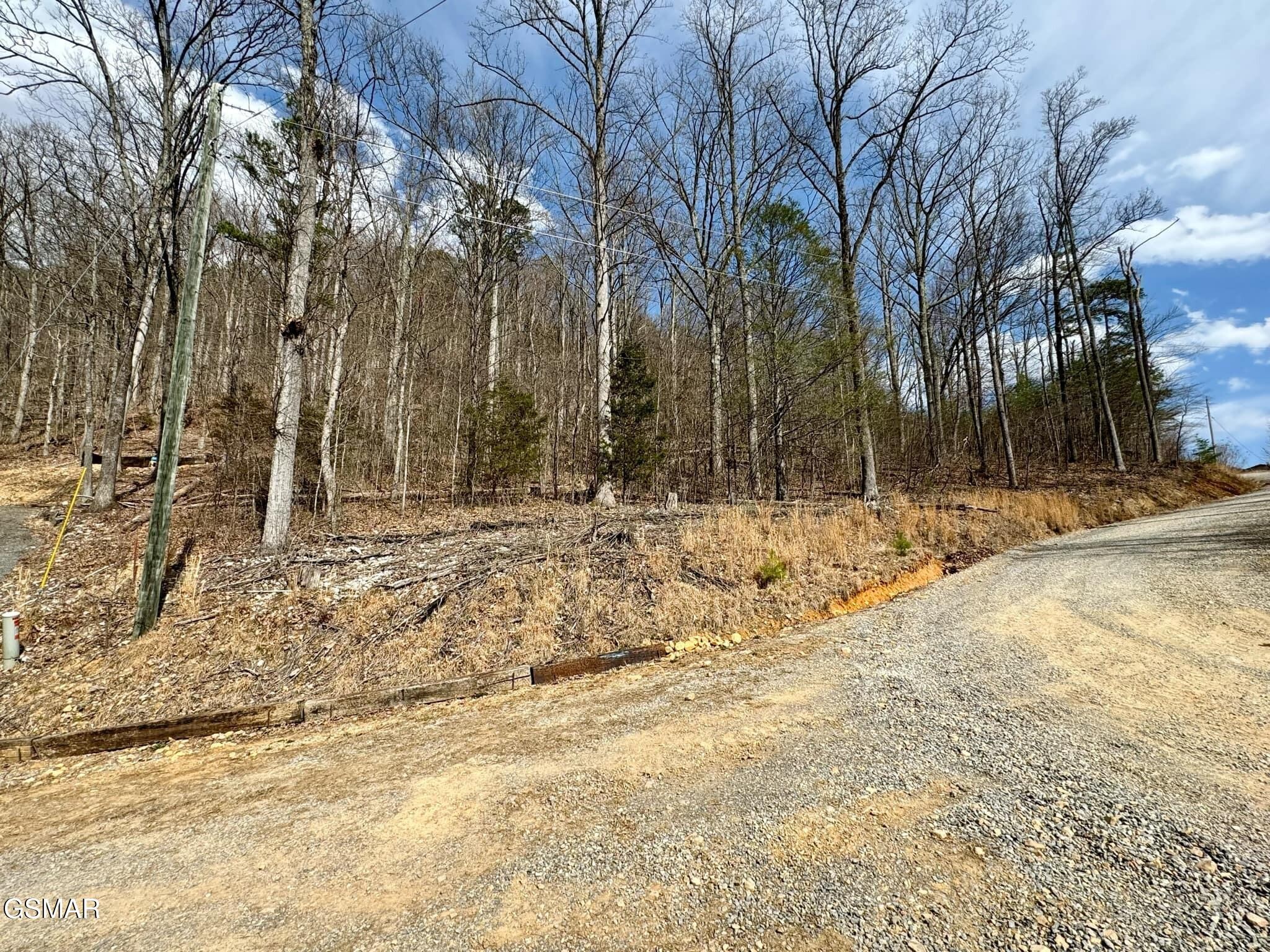 15 Mtn Walk Road Cosby, TN 37722 - Photo 1 of 7 Gallery Image 1