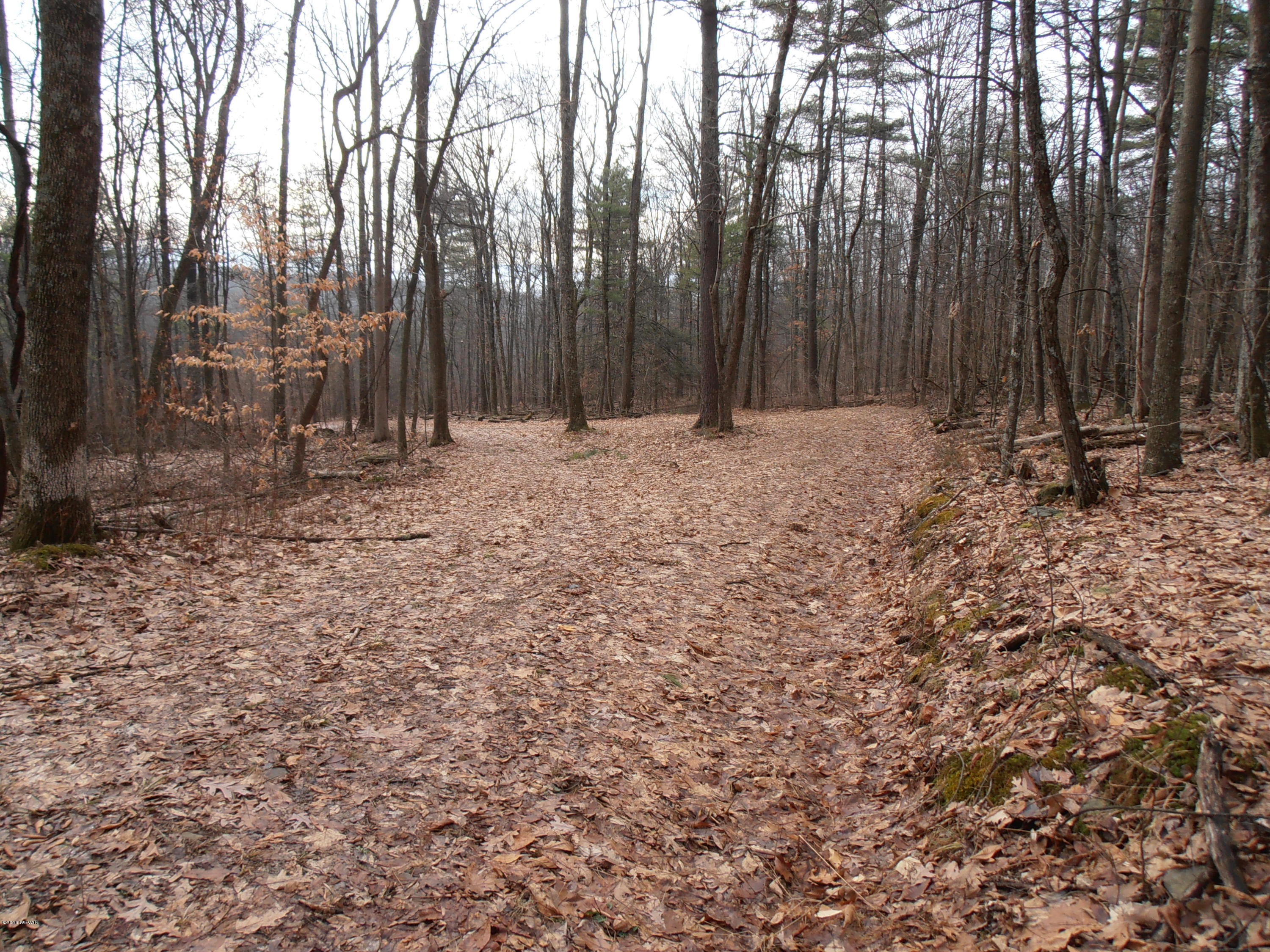 504 Furnace Run Road Jersey Shore, PA 17740 - Photo 2 of 36 PATCH PHOTOS 020