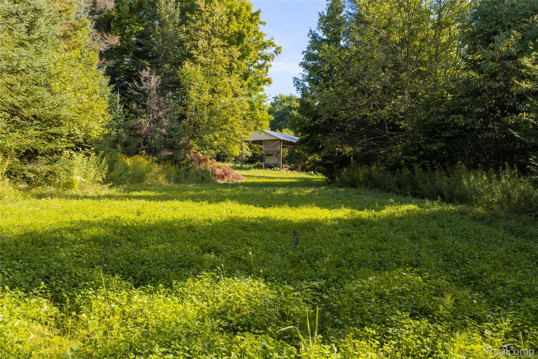 23 Camp 23 Road Germfask, MI 49836 - Photo 6 of 18 06.jpg