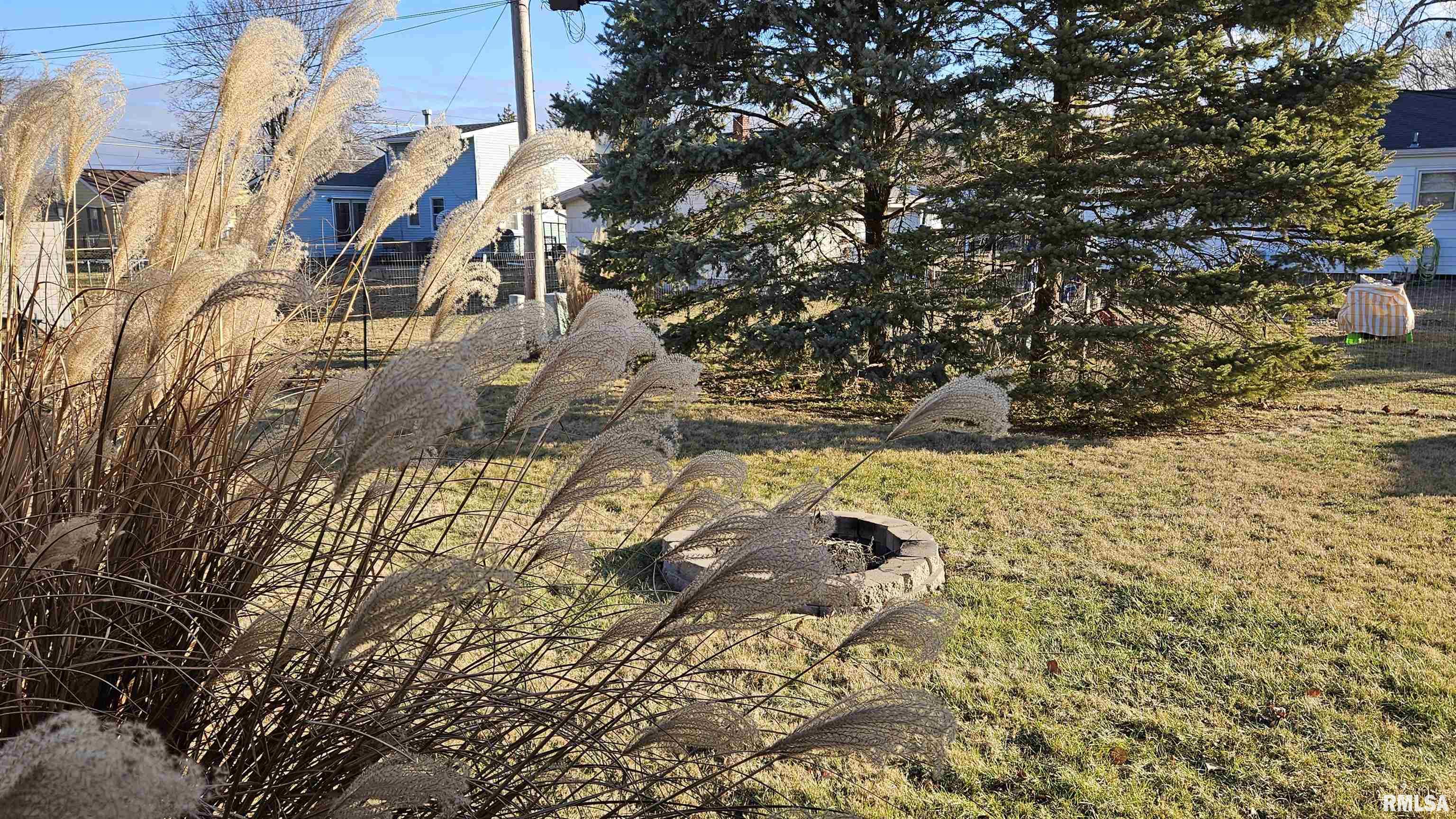 335 Iris Court Canton, IL 61520 - Photo 30 of 32