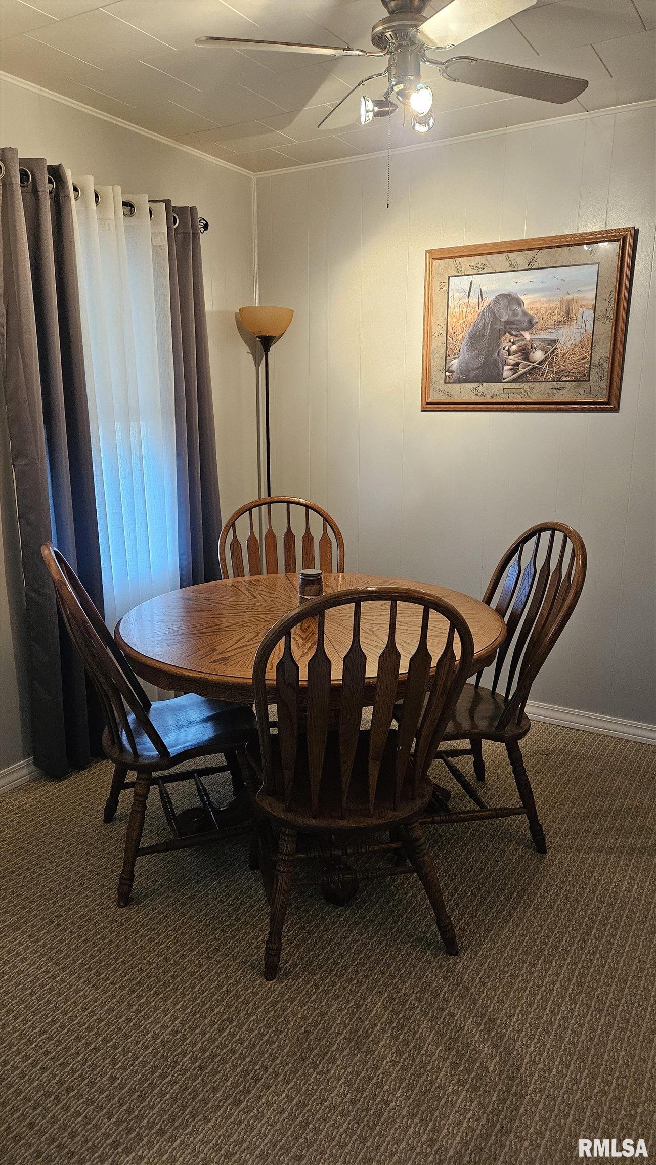 335 Iris Court Canton, IL 61520 - Photo 10 of 32