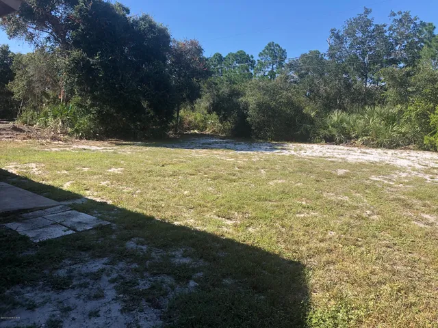 a view of a large yard with an outdoor space