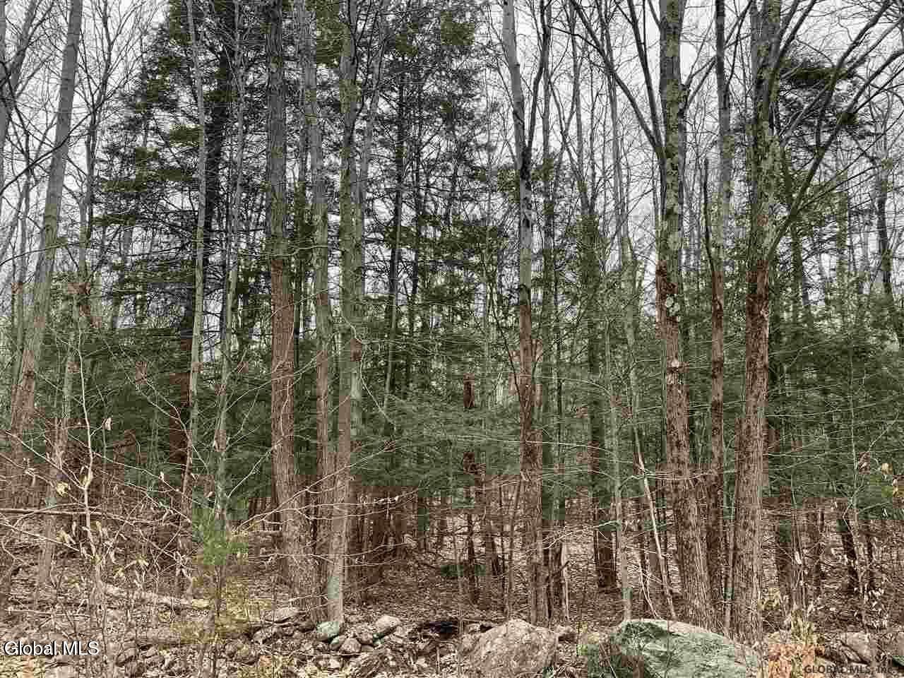 404 Toad Point Road Petersburgh, NY 12138 - Photo 10 of 19 404 Toad point rd winter