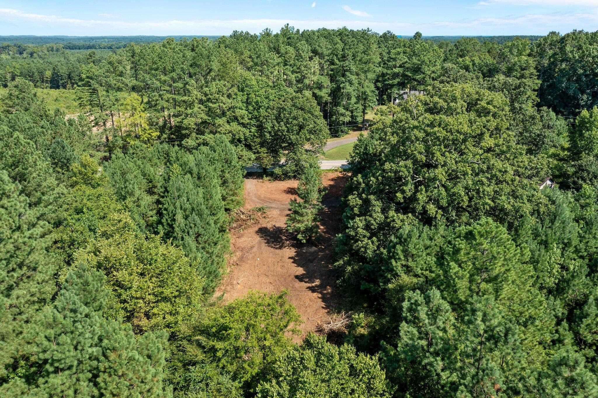 0 Stagecoach Road Henderson, NC 27537 - Photo 11 of 16 a view of a forest with a street