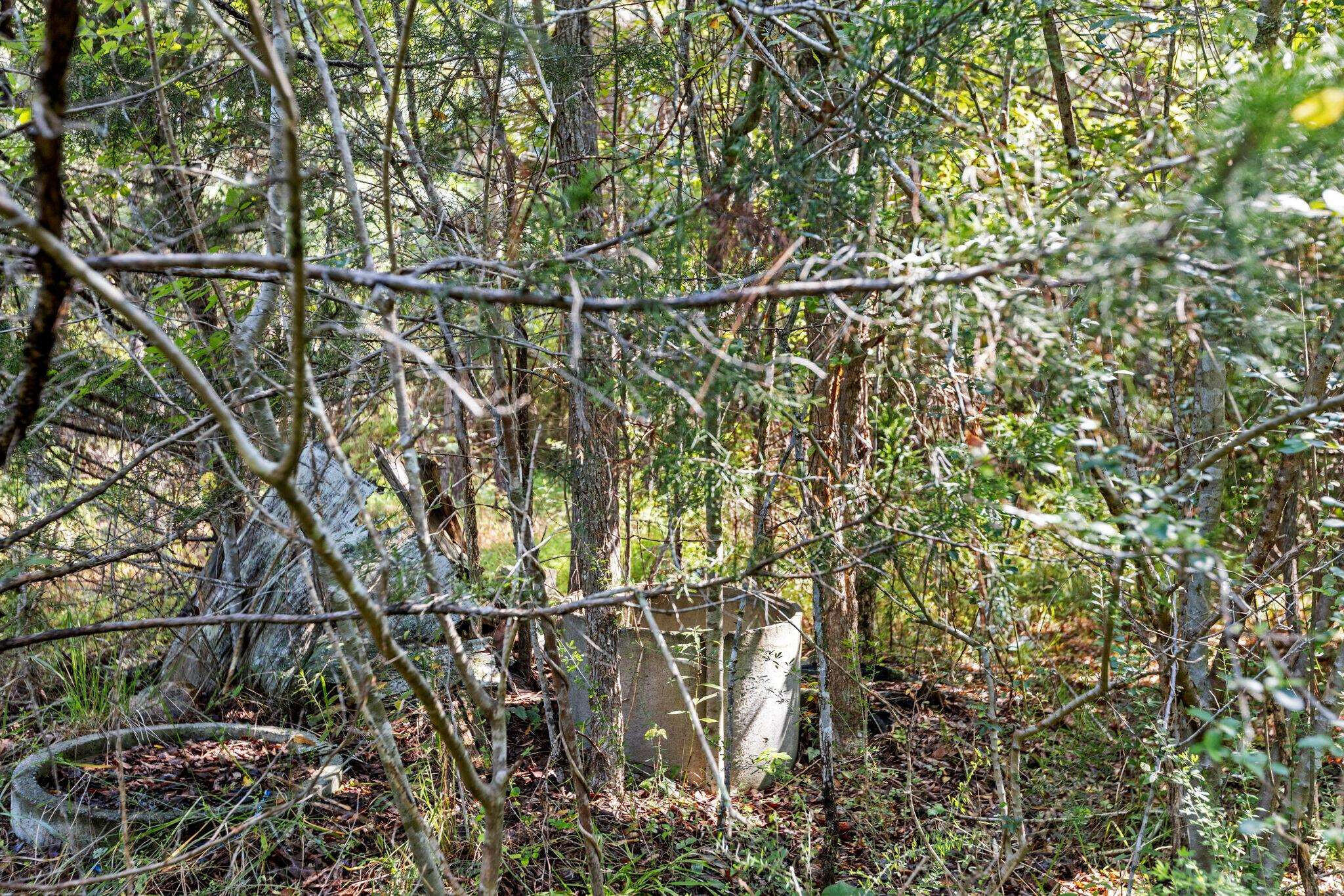 0 Stagecoach Road Henderson, NC 27537 - Photo 13 of 16 a view of a yard with a tree