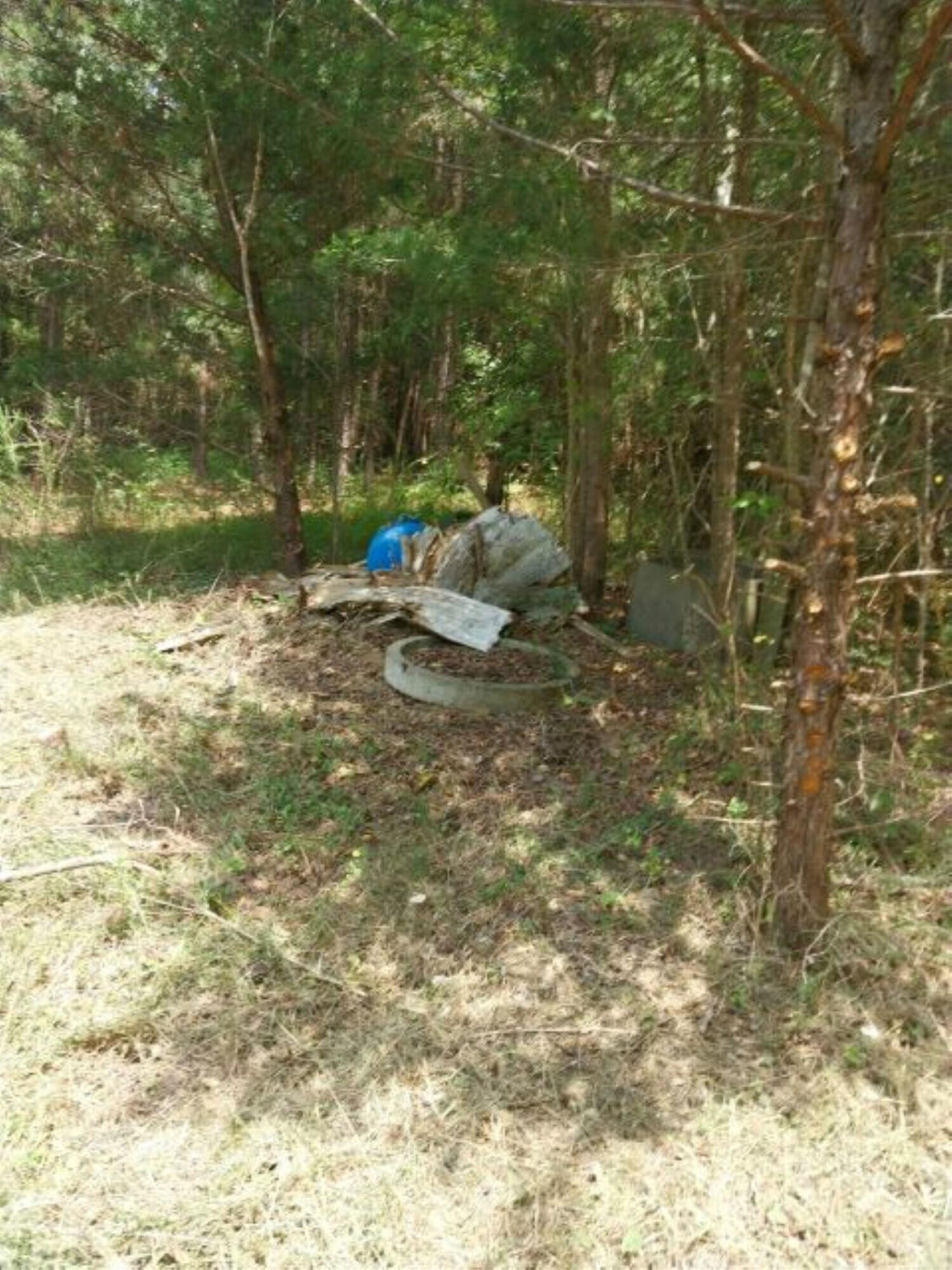 0 Stagecoach Road Henderson, NC 27537 - Photo 14 of 16 a bench is sitting in the middle of a yard