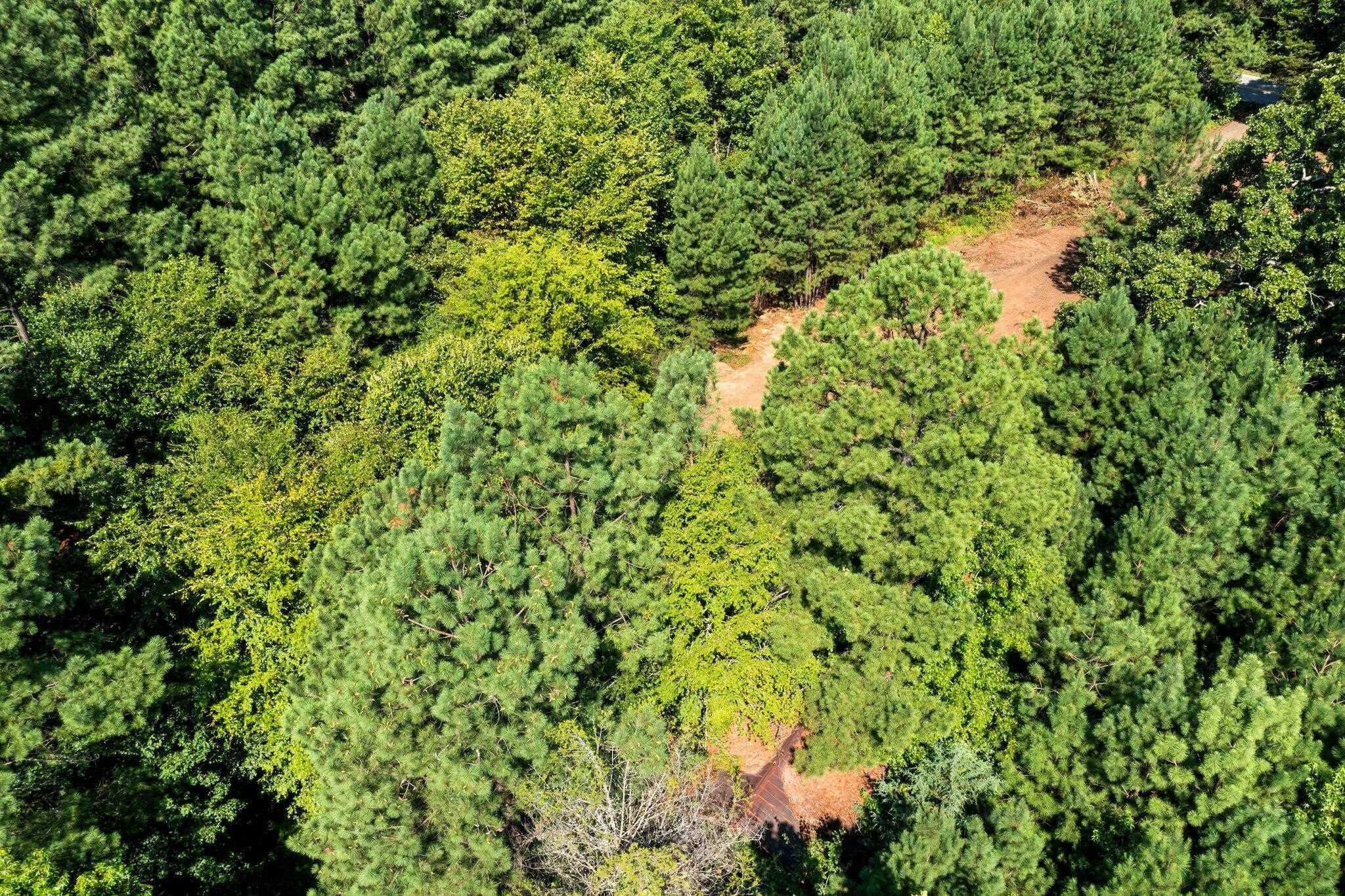 0 Stagecoach Road Henderson, NC 27537 - Photo 15 of 16 a view of a garden