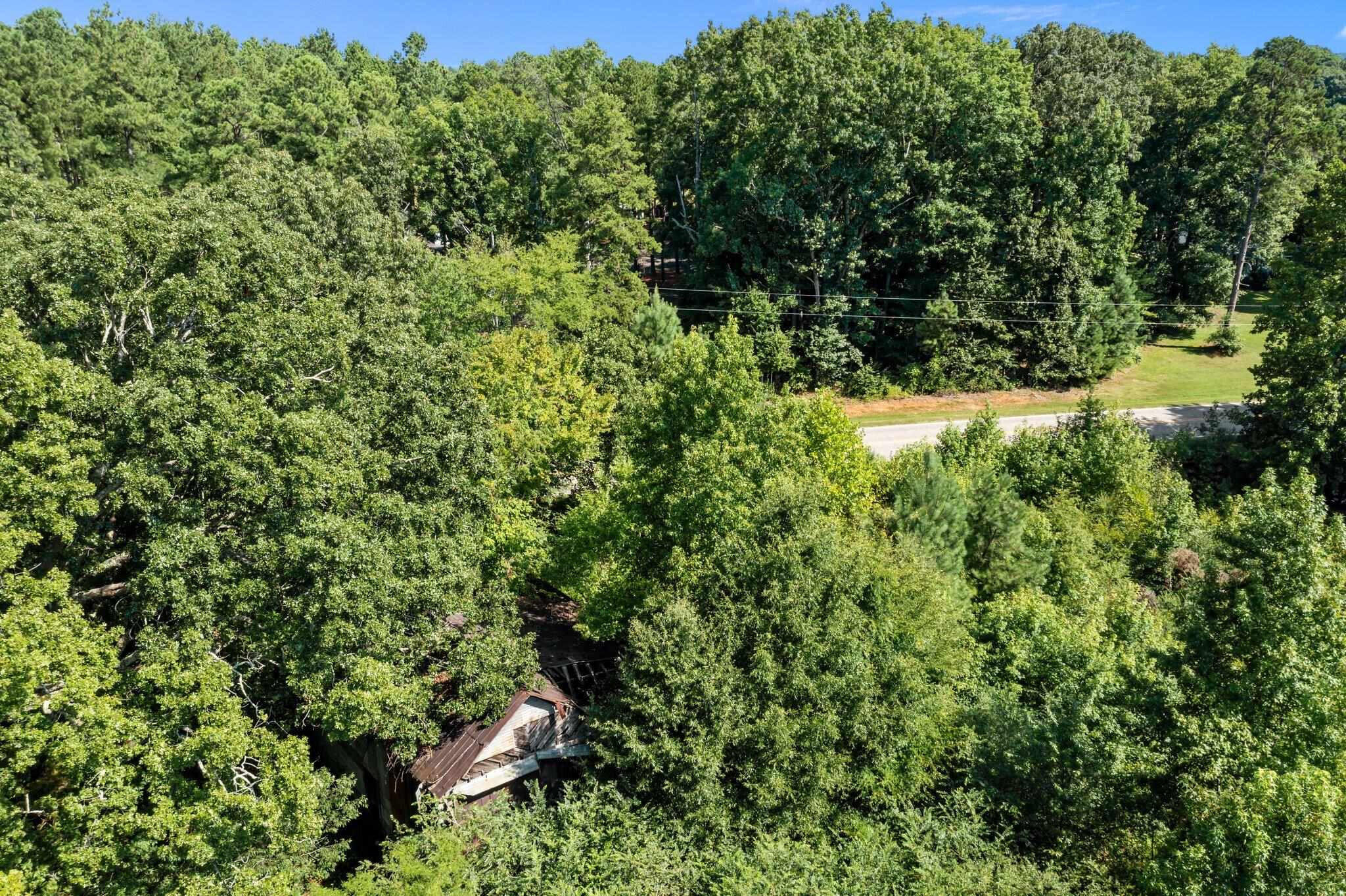 0 Stagecoach Road Henderson, NC 27537 - Photo 16 of 16 a picture of a tree