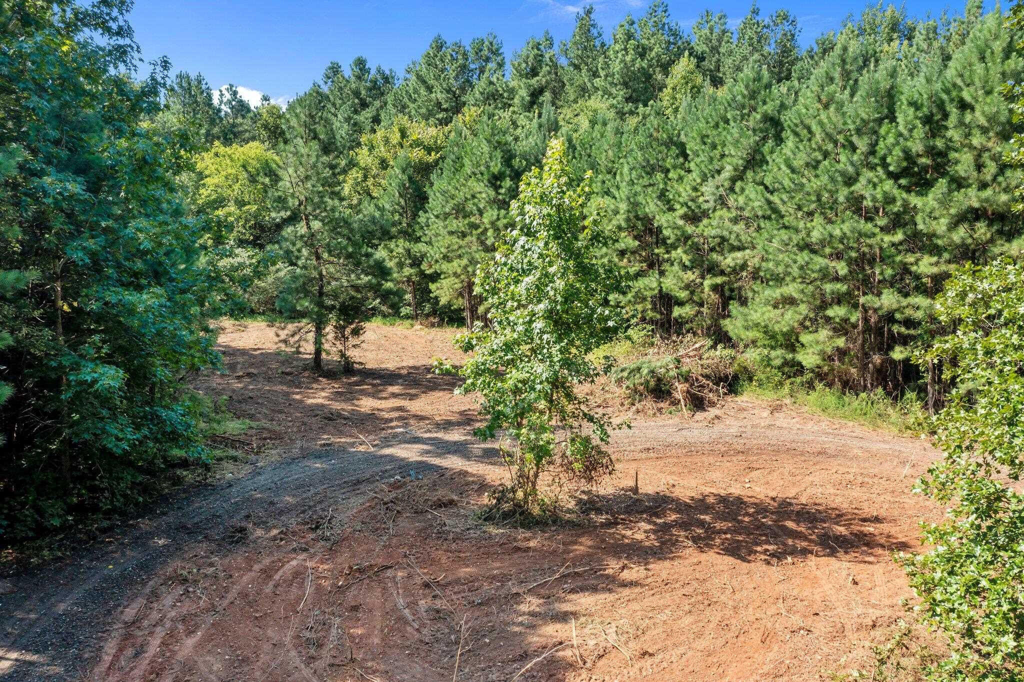 0 Stagecoach Road Henderson, NC 27537 - Photo 4 of 16 a view of a yard with a tree