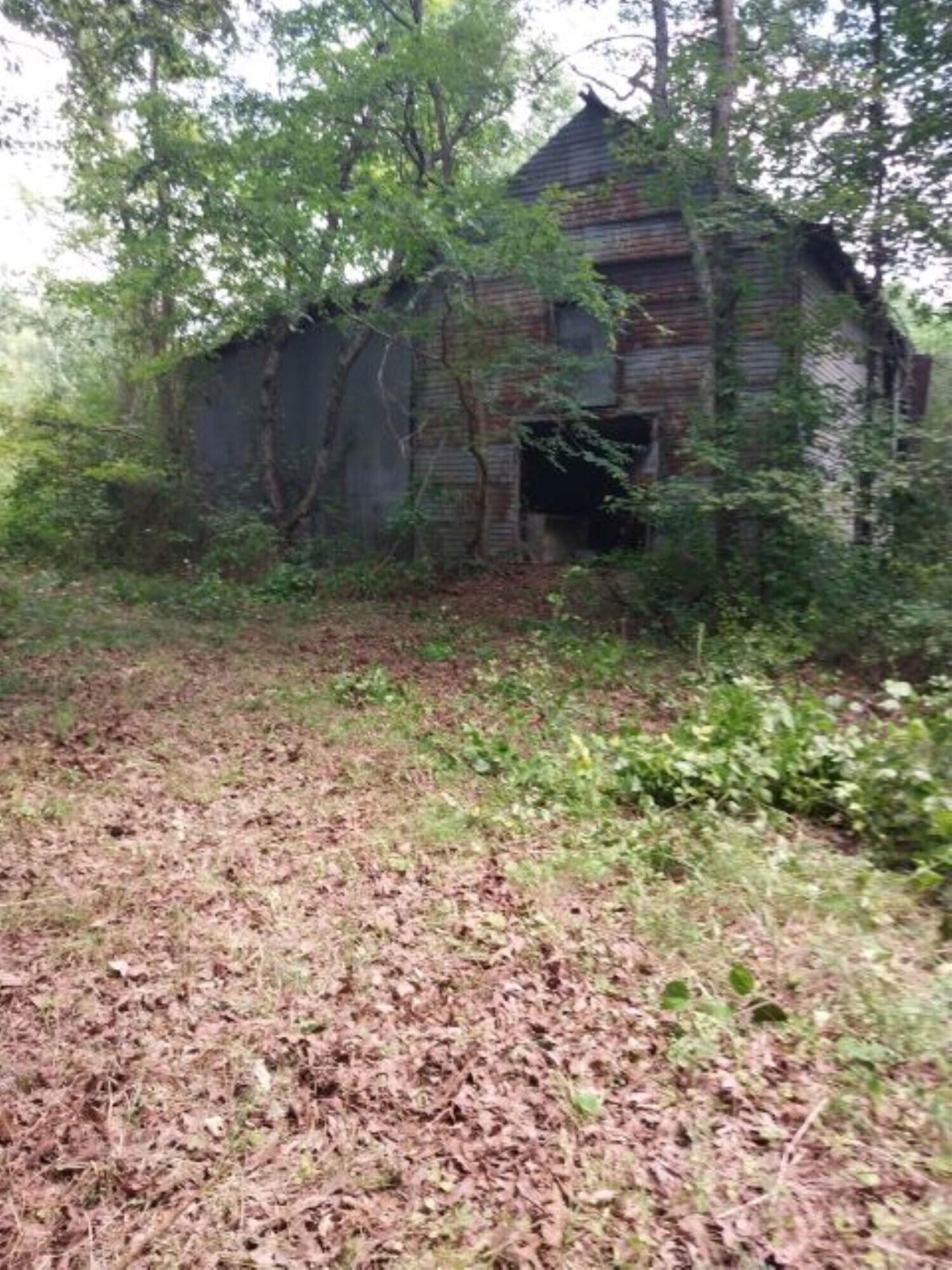 0 Stagecoach Road Henderson, NC 27537 - Photo 6 of 16 a backyard of a house with lots of green space