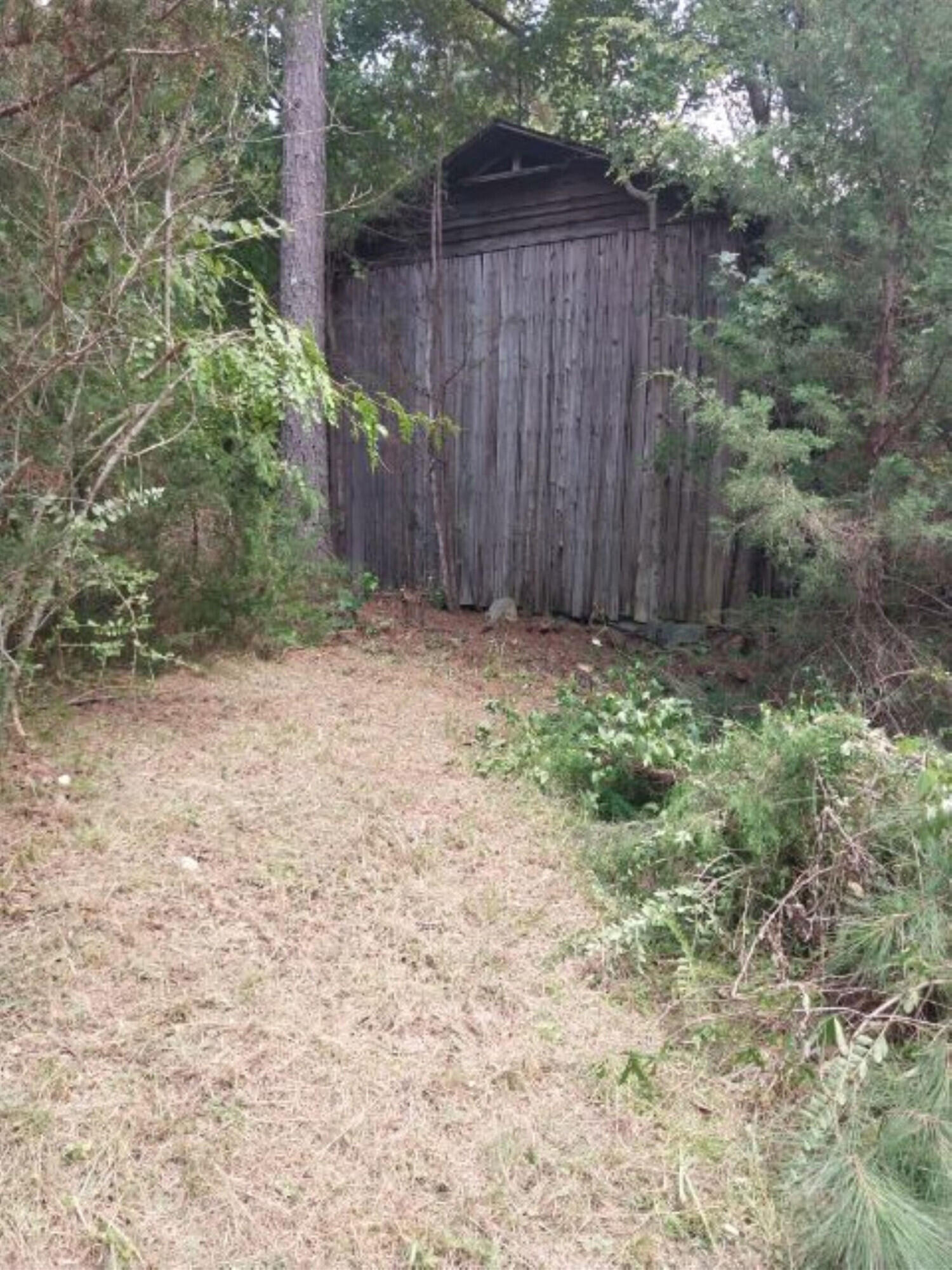 0 Stagecoach Road Henderson, NC 27537 - Photo 10 of 16 a backyard of a house with lots of green space