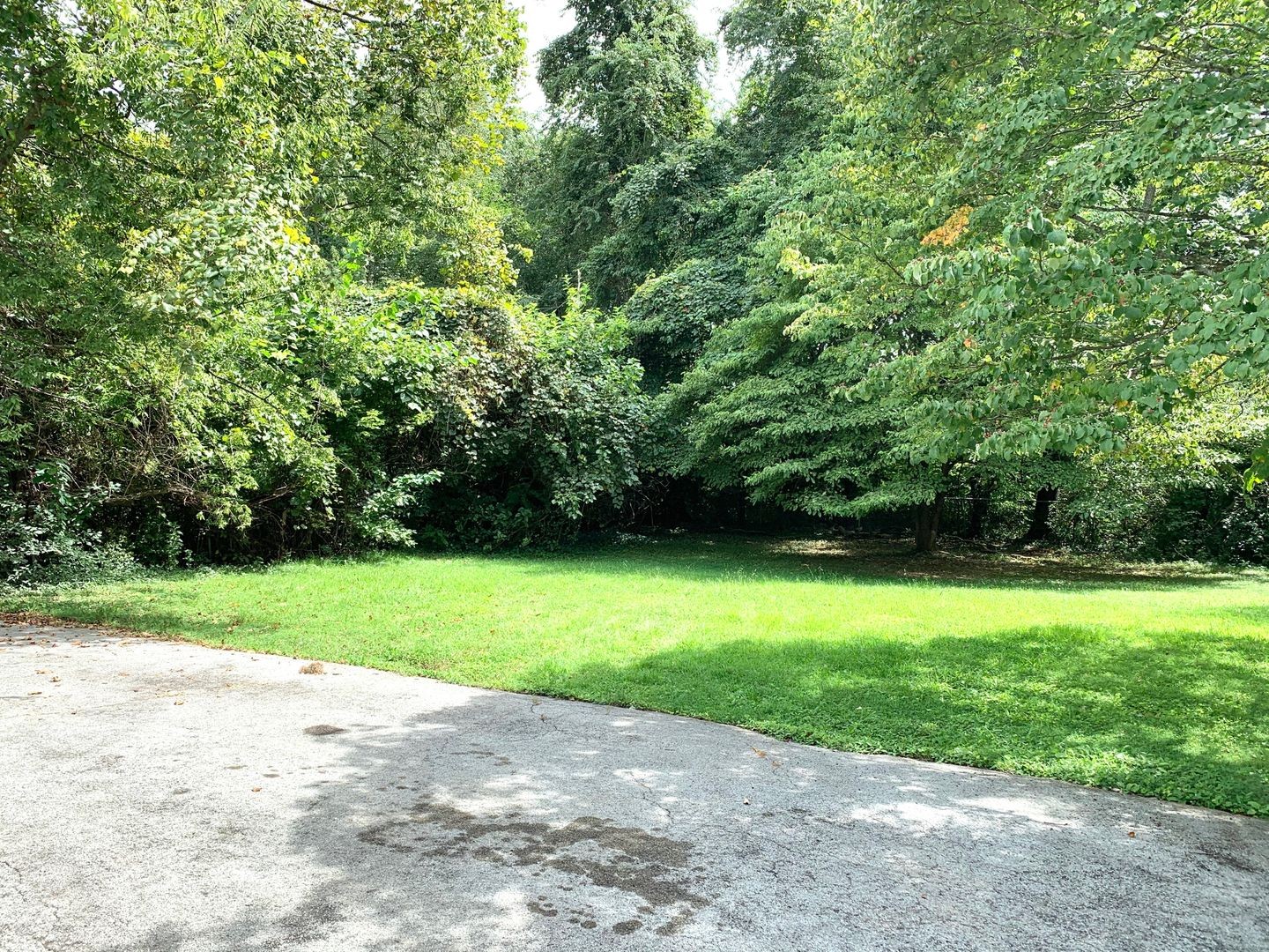 208 State Line Road Clarksville, TN 37042 - Photo 21 of 23 a view of a field of grass and trees