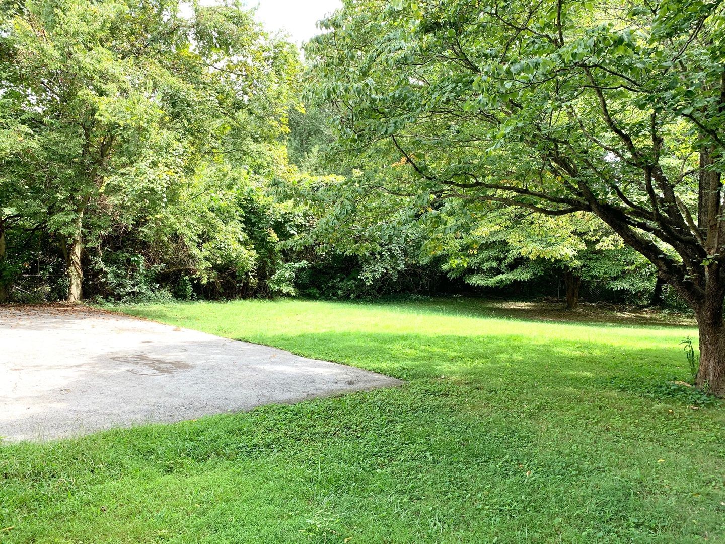 208 State Line Road Clarksville, TN 37042 - Photo 23 of 23 a view of a yard with a trees