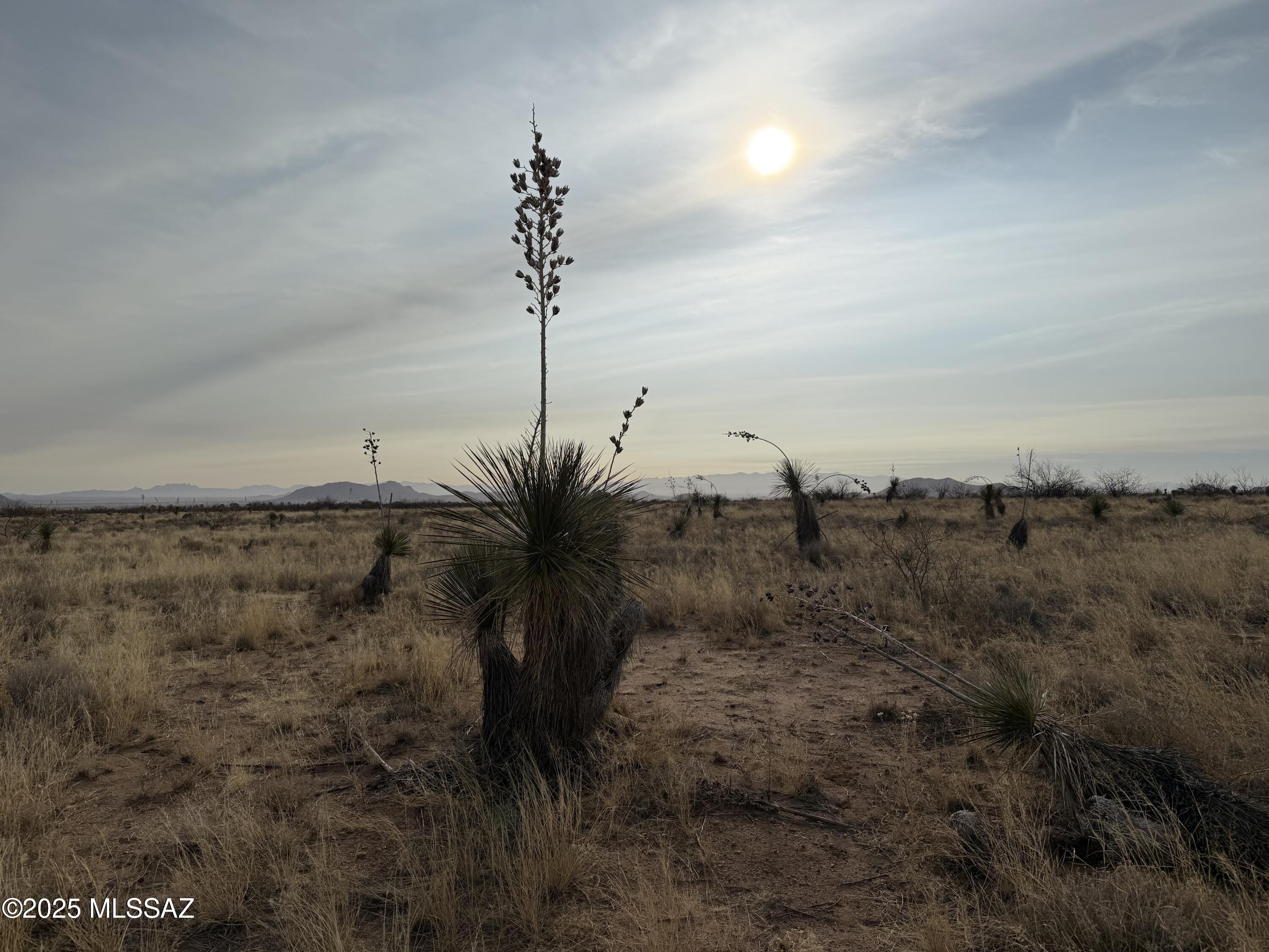 .85-ac Treasure Road, Unit 3 Pearce, AZ 85625 - Photo 17 of 21 Gallery Image 17