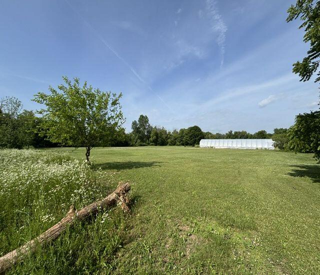 N64W21021 Mill Road Menomonee Falls, WI 53051 - Photo 36 of 40 Acreage-1