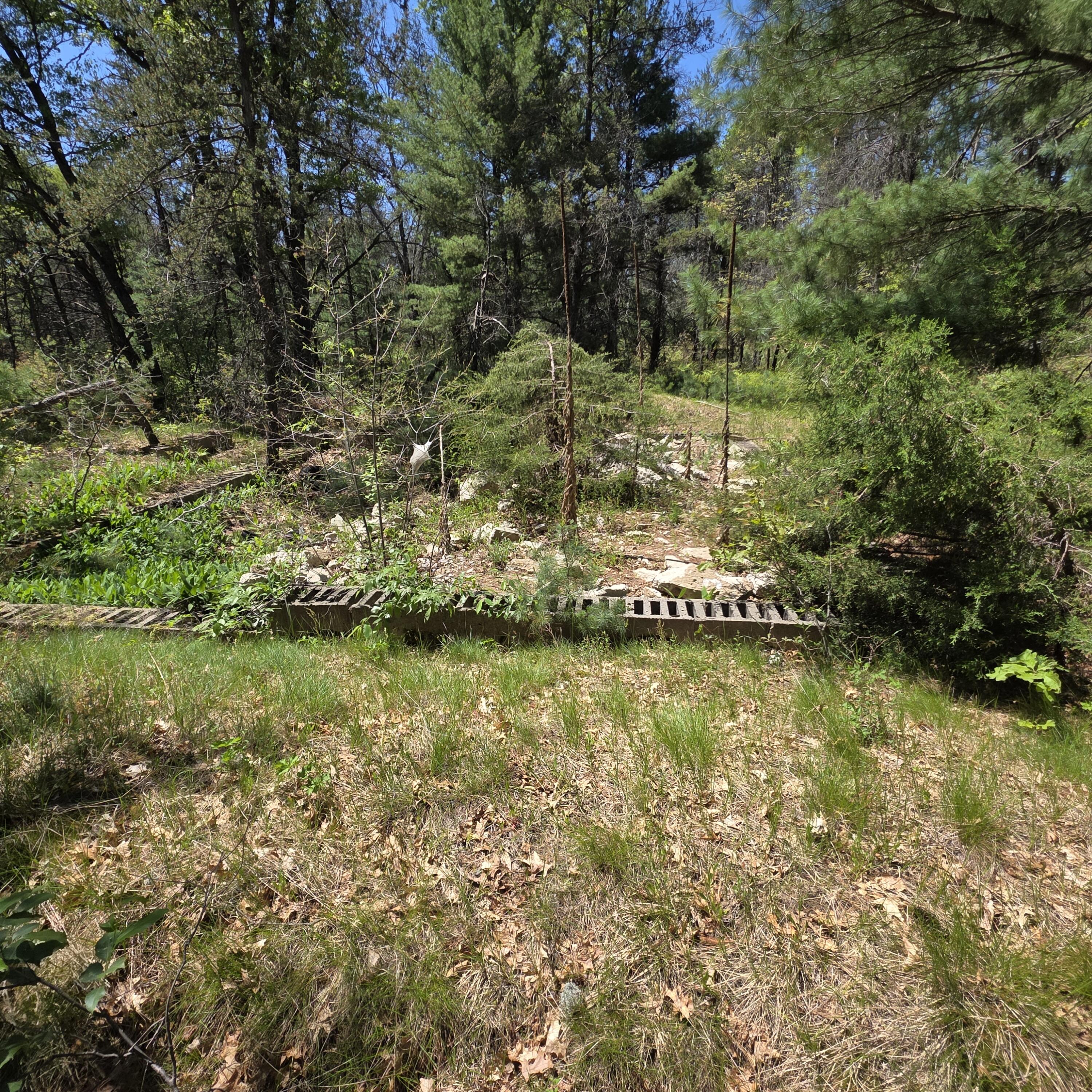 Wilma's Way, Unit PARCEL E Baldwin, MI 49304 - Photo 6 of 13 20260528_141539