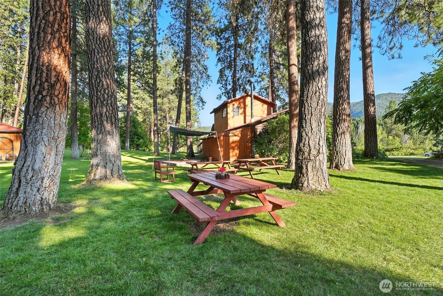 3725 Vineyard Way Kettle Falls, WA 99141 - Photo 32 of 40 a view of a park with large trees