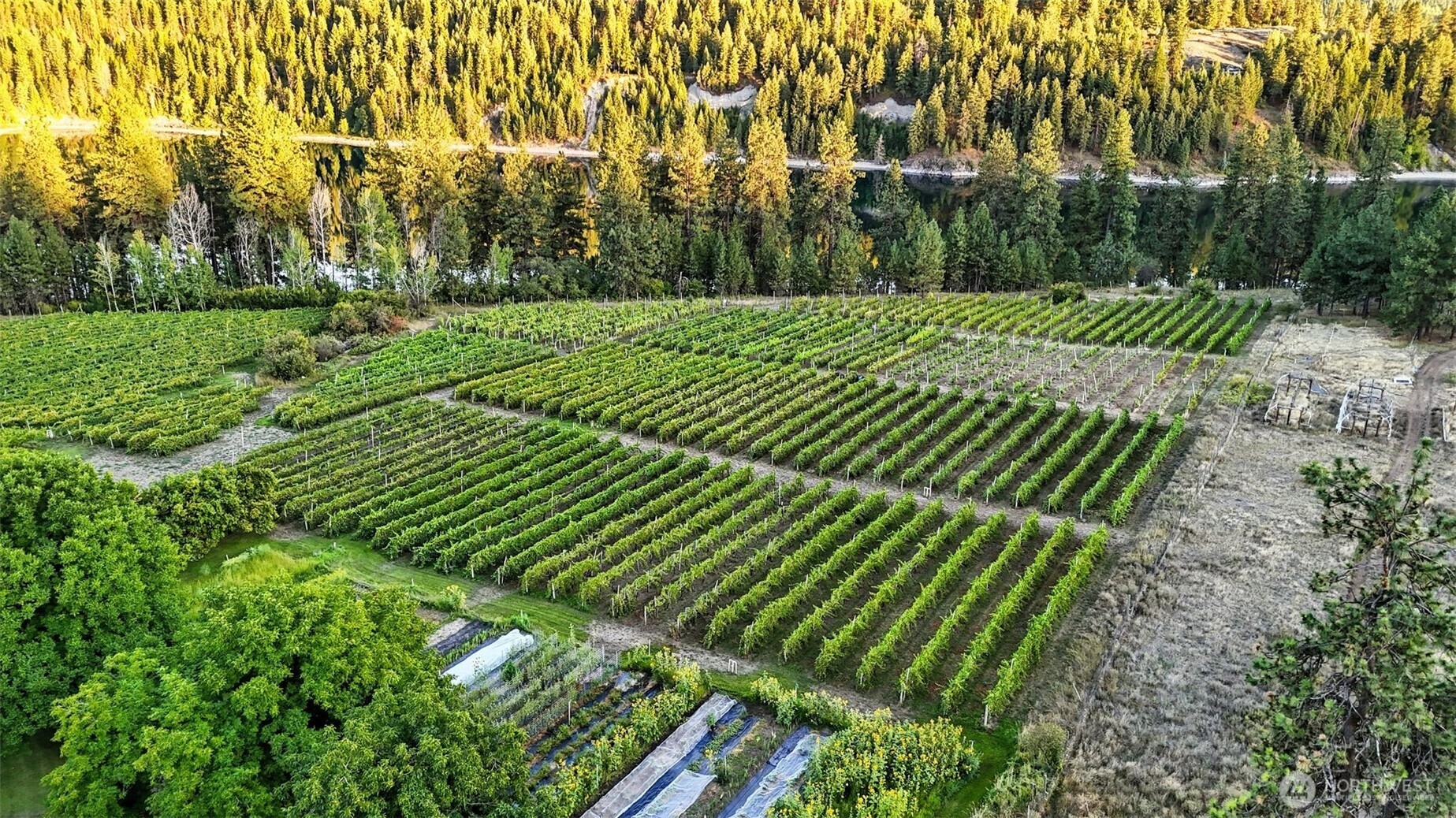 3725 Vineyard Way Kettle Falls, WA 99141 - Photo 39 of 40 a view of a park with a large trees
