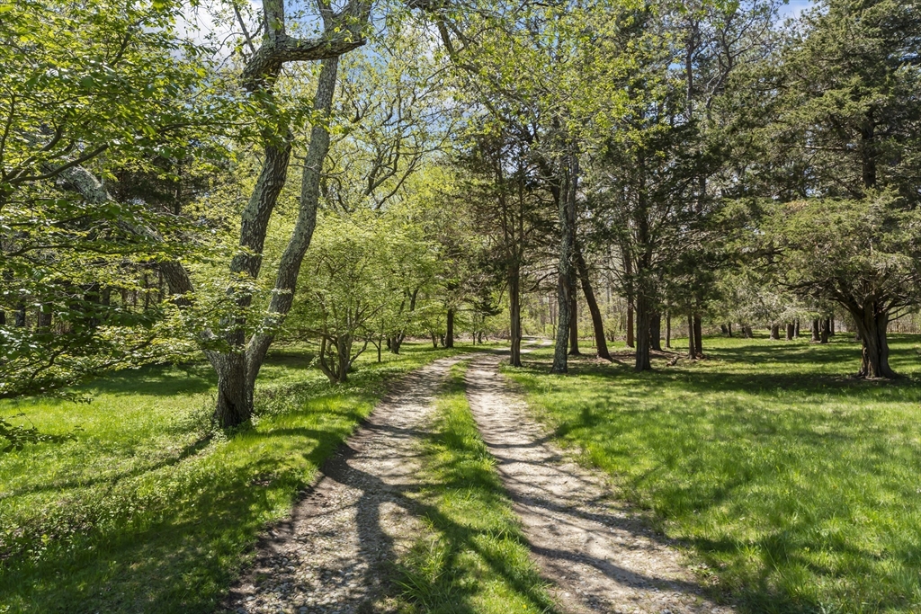 23 Onkokemmy Road West Tisbury, MA 02568 - Photo 4 of 9