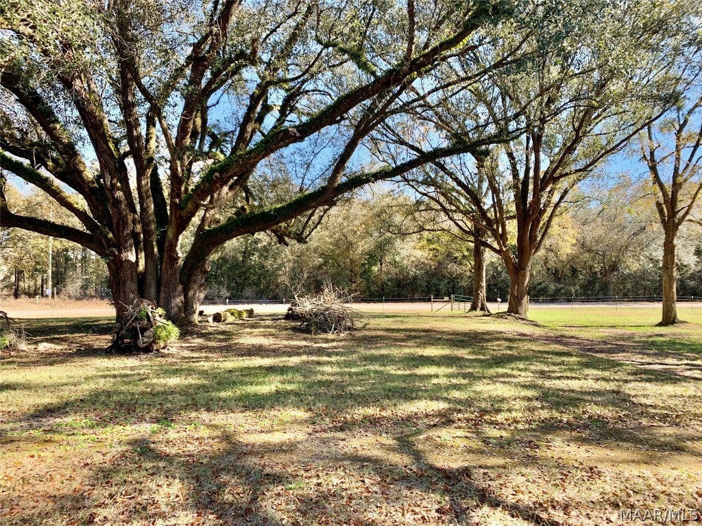 2799 Alford Road Samson, AL 36477 - Photo 25 of 35 Gallery Image 25