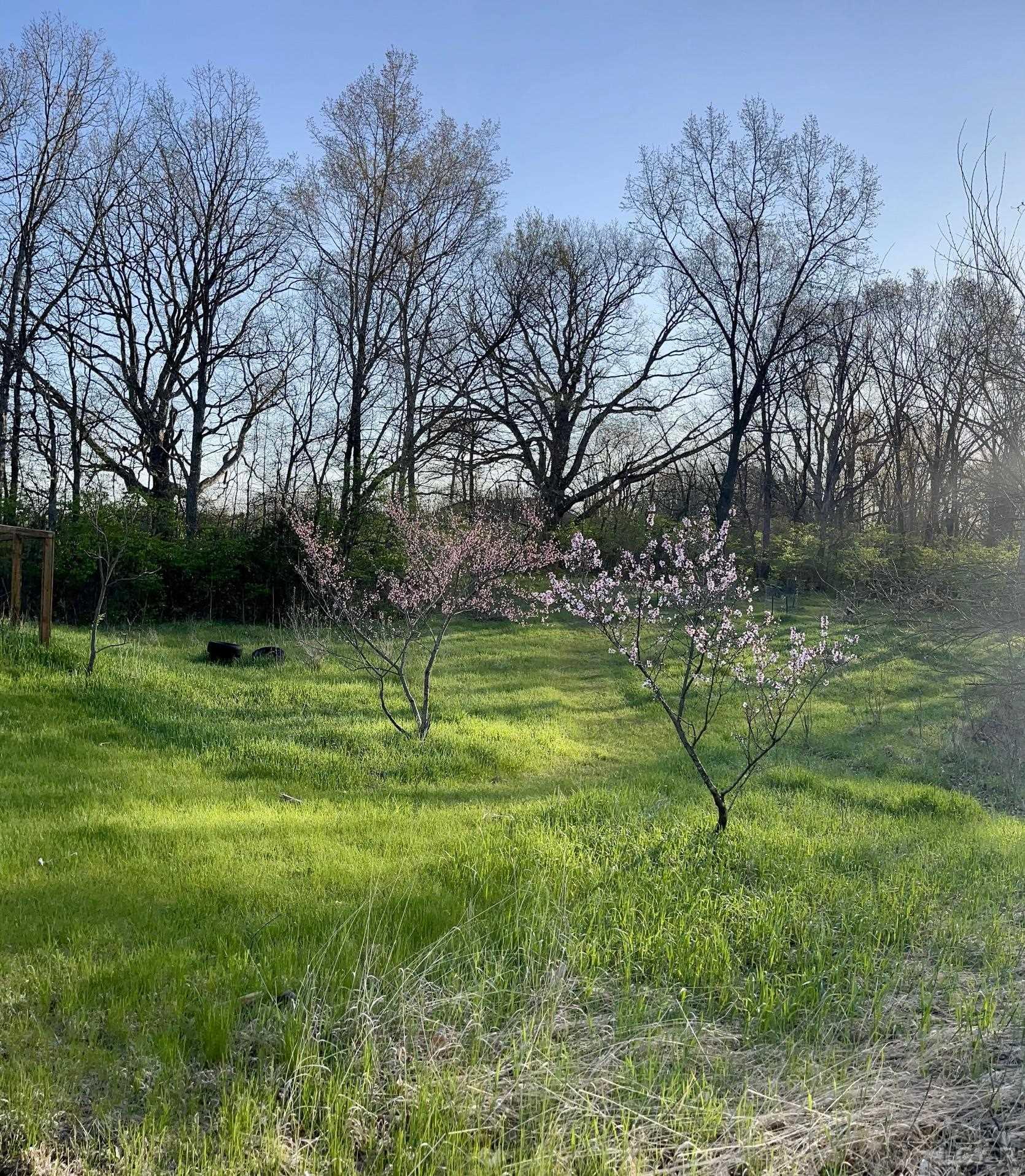 12119 Hogan Road Clinton, MI 49236 - Photo 79 of 80