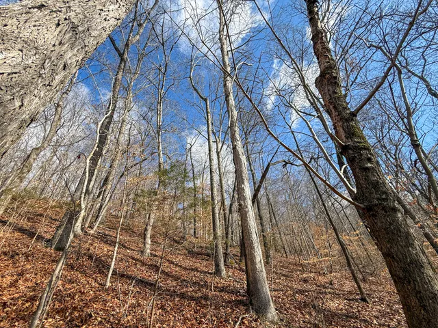 $369,000 | 0 Carr Creek Road, Normandy, TN 37360