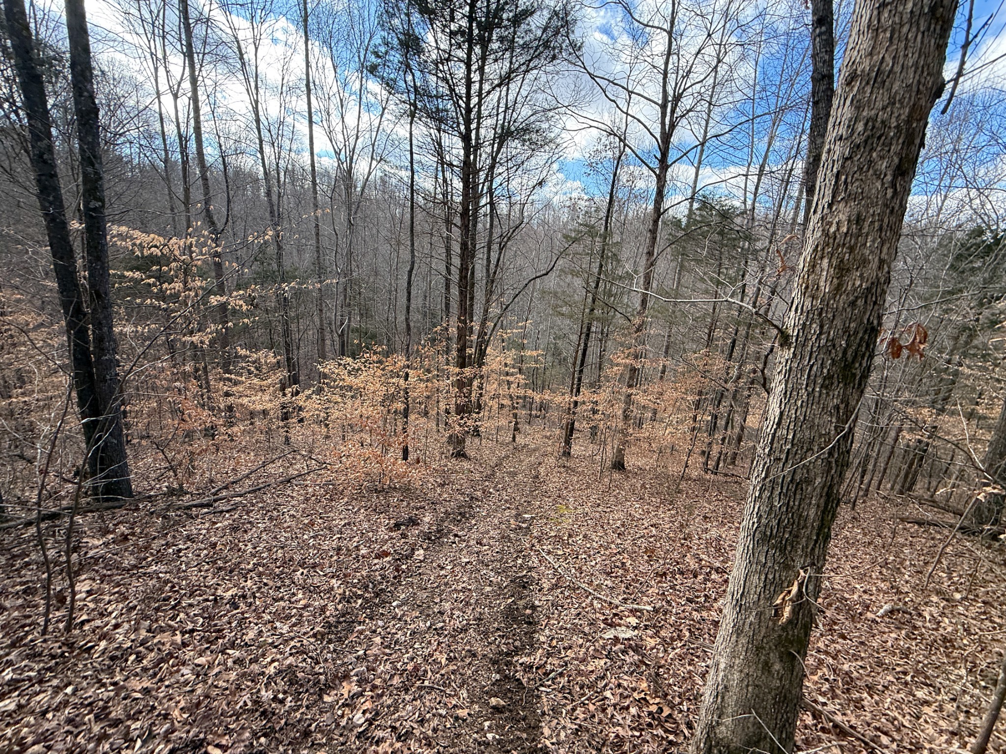 0 Carr Creek Road Normandy, TN 37360 - Photo 4 of 7