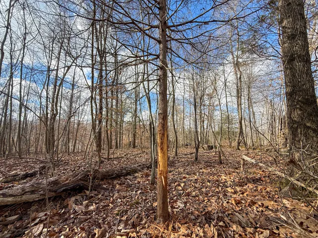 $369,000 | 0 Carr Creek Road, Normandy, TN 37360