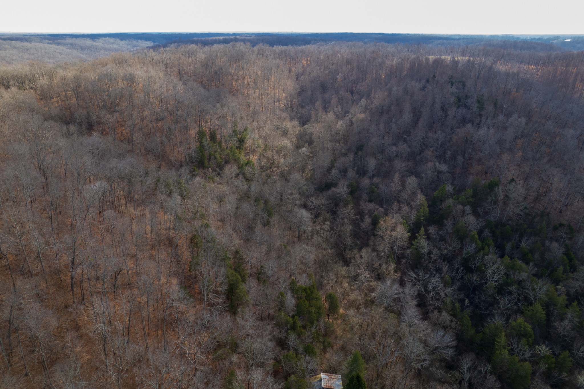 0 Carr Creek Road Normandy, TN 37360 - Photo 7 of 7