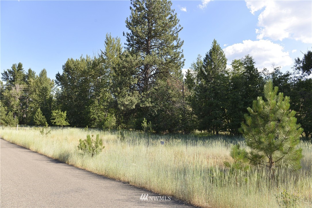 5 Greenwood Road Winthrop, WA 98862 - Photo 1 of 8 Gallery Image 1
