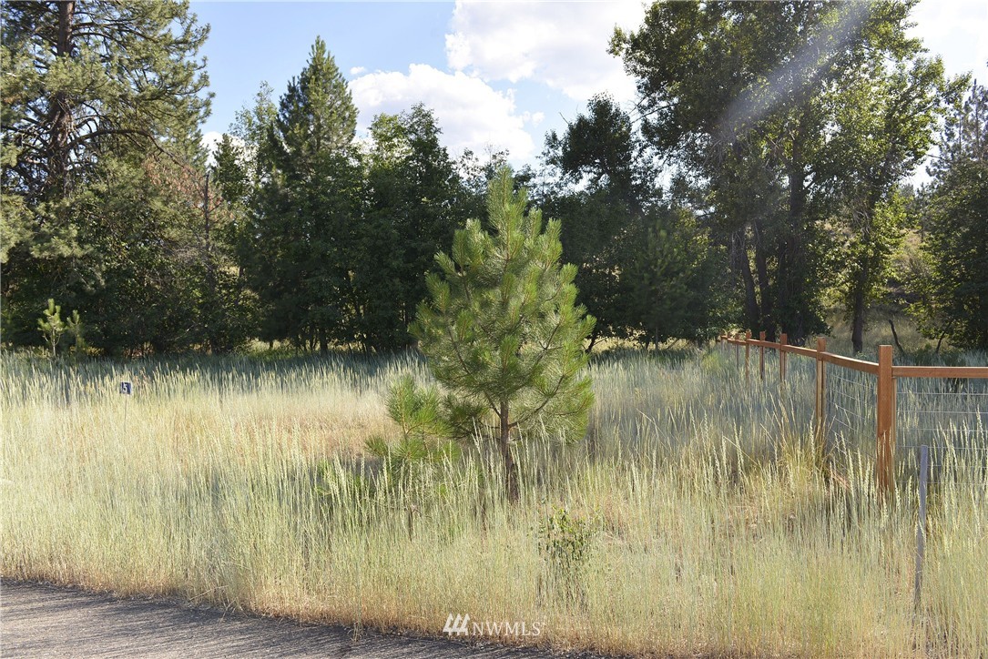 5 Greenwood Road Winthrop, WA 98862 - Photo 2 of 8 Gallery Image 2