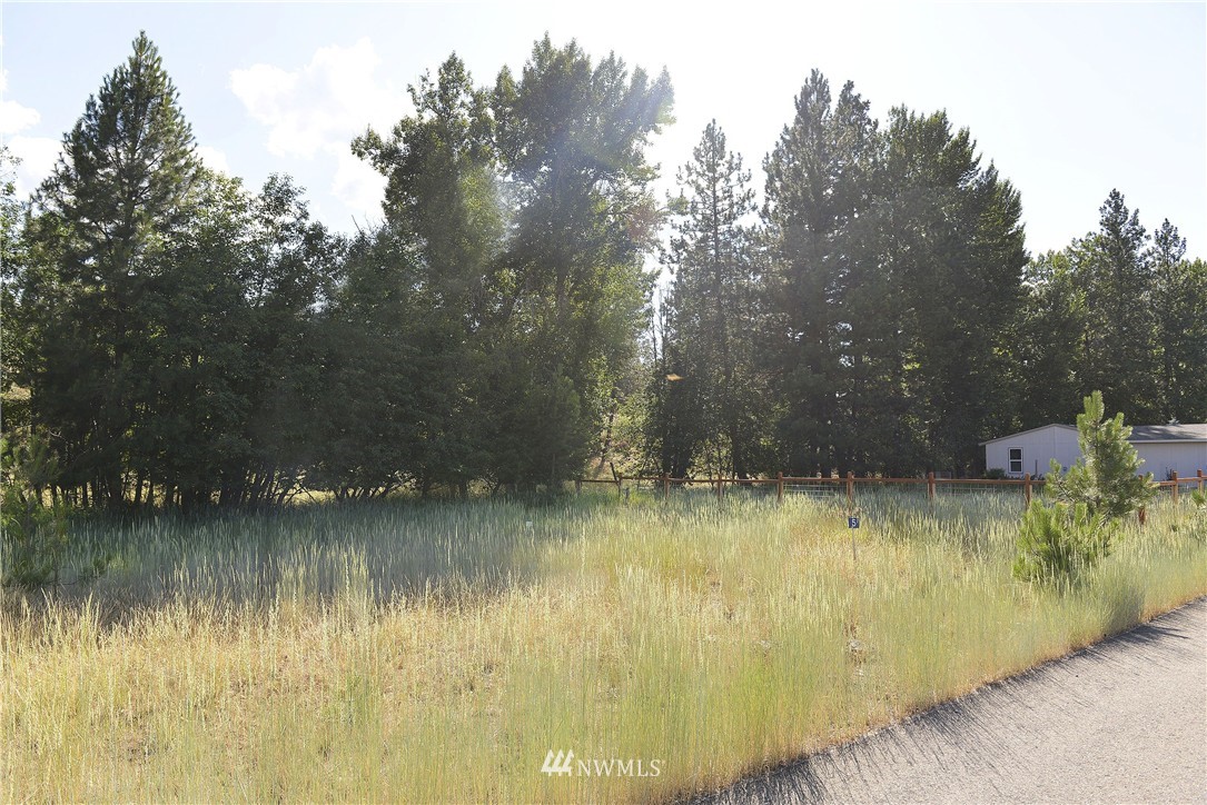 5 Greenwood Road Winthrop, WA 98862 - Photo 3 of 8 Gallery Image 3