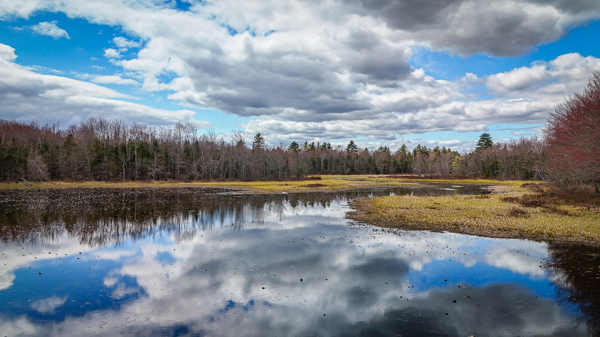 501 Main Road Charleston, ME 04422 - Photo 3 of 19 DJI_20240501141520_0009_D